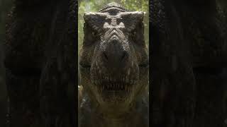 Triceratops Mocked T-Rex’s Small Arms… Big Mistake #dinosaur