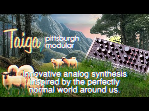 Pittsburgh Modular Taiga: A Deeper Dive