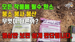 붕소 붕사 붕산 다른점? 붕소 효능 결핍과 과잉장애
