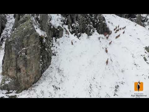 Il ritorno della neve e la fauna del parco