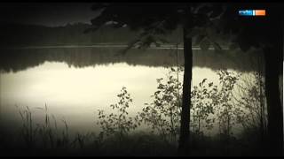 Video-Thumbnail von YouTube