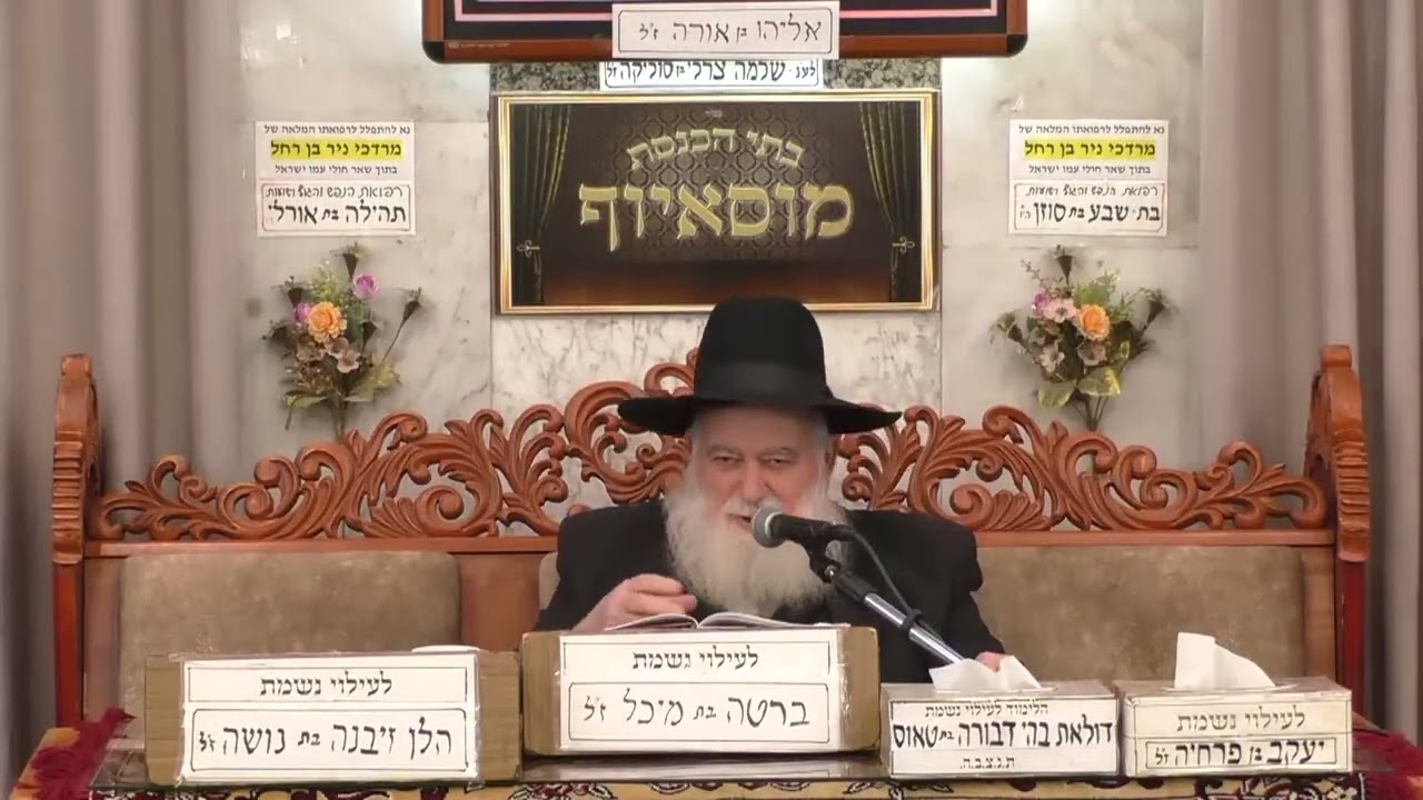 פרשת וירא מוסאיוף