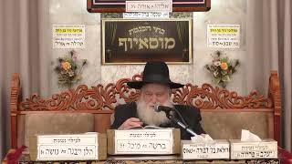 פרשת וירא מוסאיוף (בית הכנסת מוסאיוף - ערוץ חדש) - התמונה מוצגת ישירות מתוך אתר האינטרנט יוטיוב. זכויות היוצרים בתמונה שייכות ליוצרה. קישור קרדיט למקור התוכן נמצא בתוך דף הסרטון