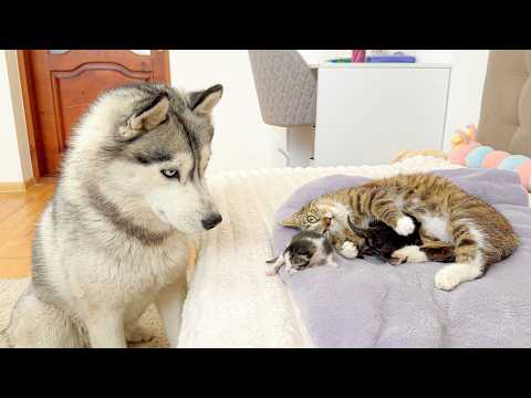 YouTube 썸네일
