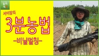 [서이장의 3분농법] 비닐멀칭