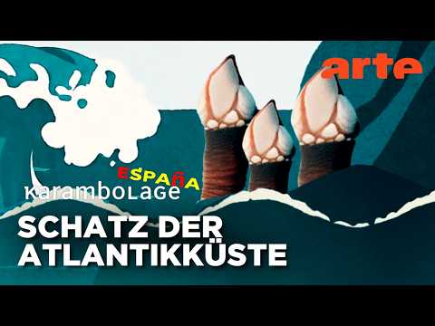 Video Thumbnail: Die Entenmuschel: Galiziens riskanteste Delikatesse | Karambolage España | ARTE