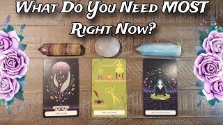 🌟🧝‍♀️ What Do You Need Most Right Now? 🍃🧝‍♀️ Pick A Card Reading