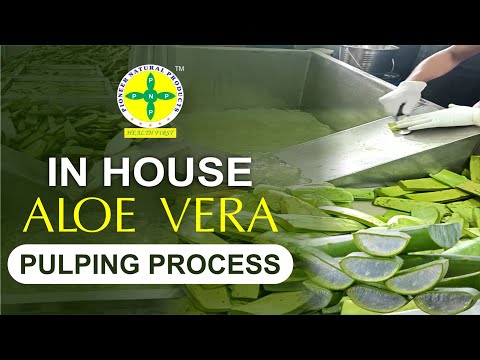 Aloevera aloe tulsi 1000 ml, packaging type: bottle