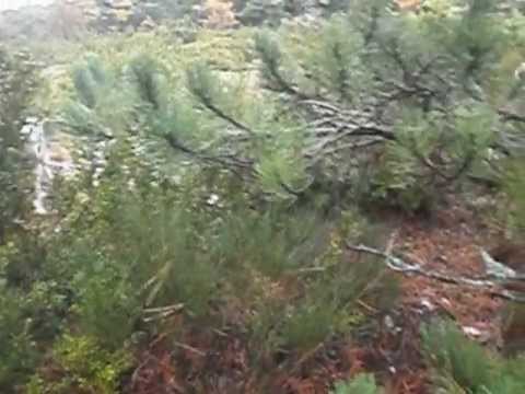 {$row[$i]['name'], ENT_QUOTES,'utf-8'); ?>