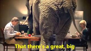 Elephant Guy Sebastian mpeg4