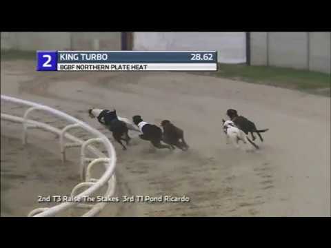 2019 BGBF NORTHERN PLATE - HEAT 1 - T2 KING TURBO