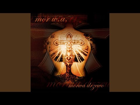 Video thumbnail for Widzę świat