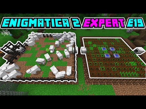 Minecraft Lets Play Enigmatica 2 Expert EP 19 - Industrial Foregoing How to Make Pink Slime Ingot!
