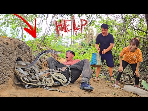 Brave Expert Catch 100 Giant Snakes By Hand