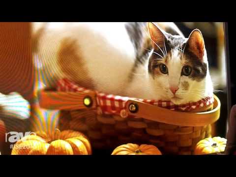 ISE 2016: MR LED Details the Intelligent UTV Series