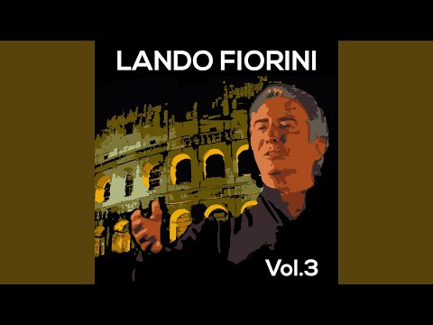 Tutte le notti in sogno