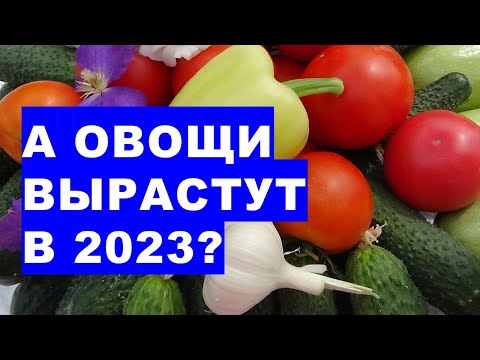 , title : 'Вырастут ли овощи в 2023 году?'