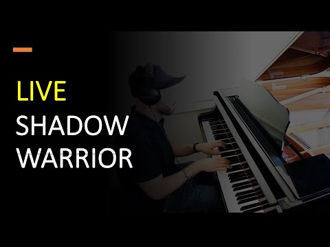 Philipp Beesen - Shadow Warrior (live)