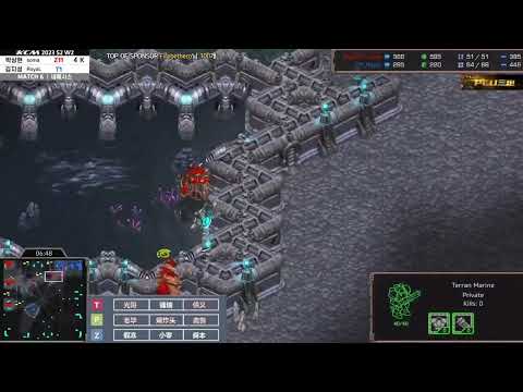 StarCraft 星际争霸 20230426 KCM 第6场 Sorry VS Soma AK all kill