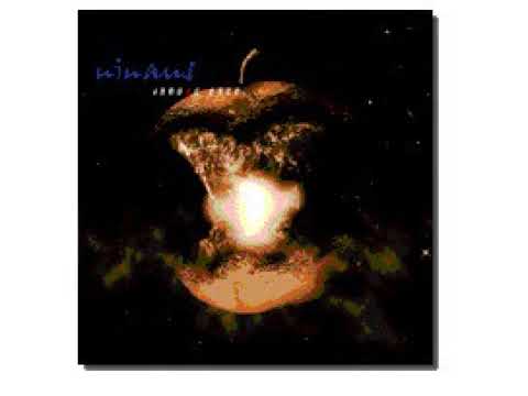 Ninaus - Innoscience 14. Merger Man