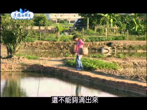 100年度漁樂新視界-第028集 彰化漁鄉萬千風情