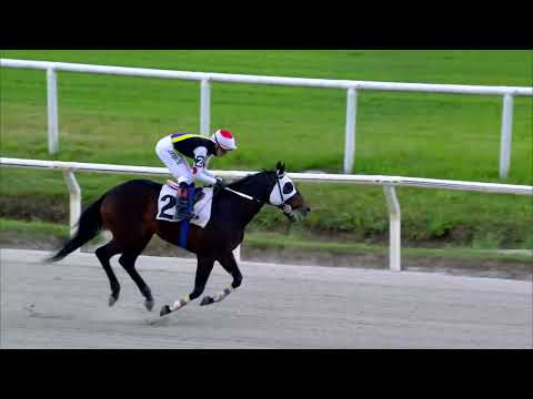 221008 c07 DIONISIO DEL SABA