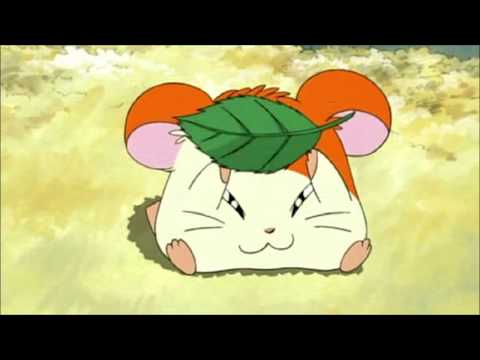 Tottoko Hamtarou Ham-Ham ON-DO Da, Ham-chans! Ham-chans