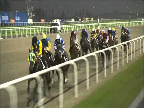 Ichiban-Trip Collection: DWC-2010, UAE Derby