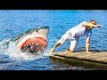 If You’re Scared of Sharks, Don’t Watch This!