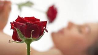 Vuelve   ( Ricky Martin )