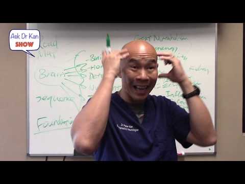 The roadmap to weight loss, more energy and better brain function