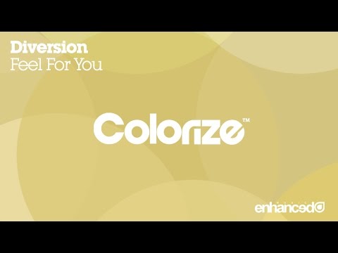Diversion - Feel For You