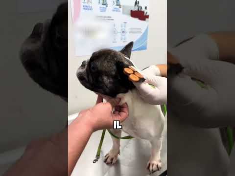 Grazie a questi bottoni durano più a lungo!