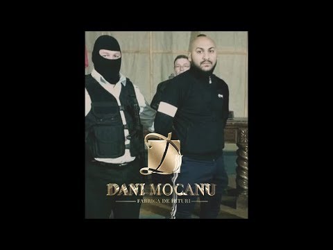 Dani Mocanu - Familie Frumoasa  | Official Audio