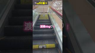 食べ物美味しくて雑貨カワイイの超最強！🩵#日常 #日常vlog #韓国旅行 #韓国 #shorts