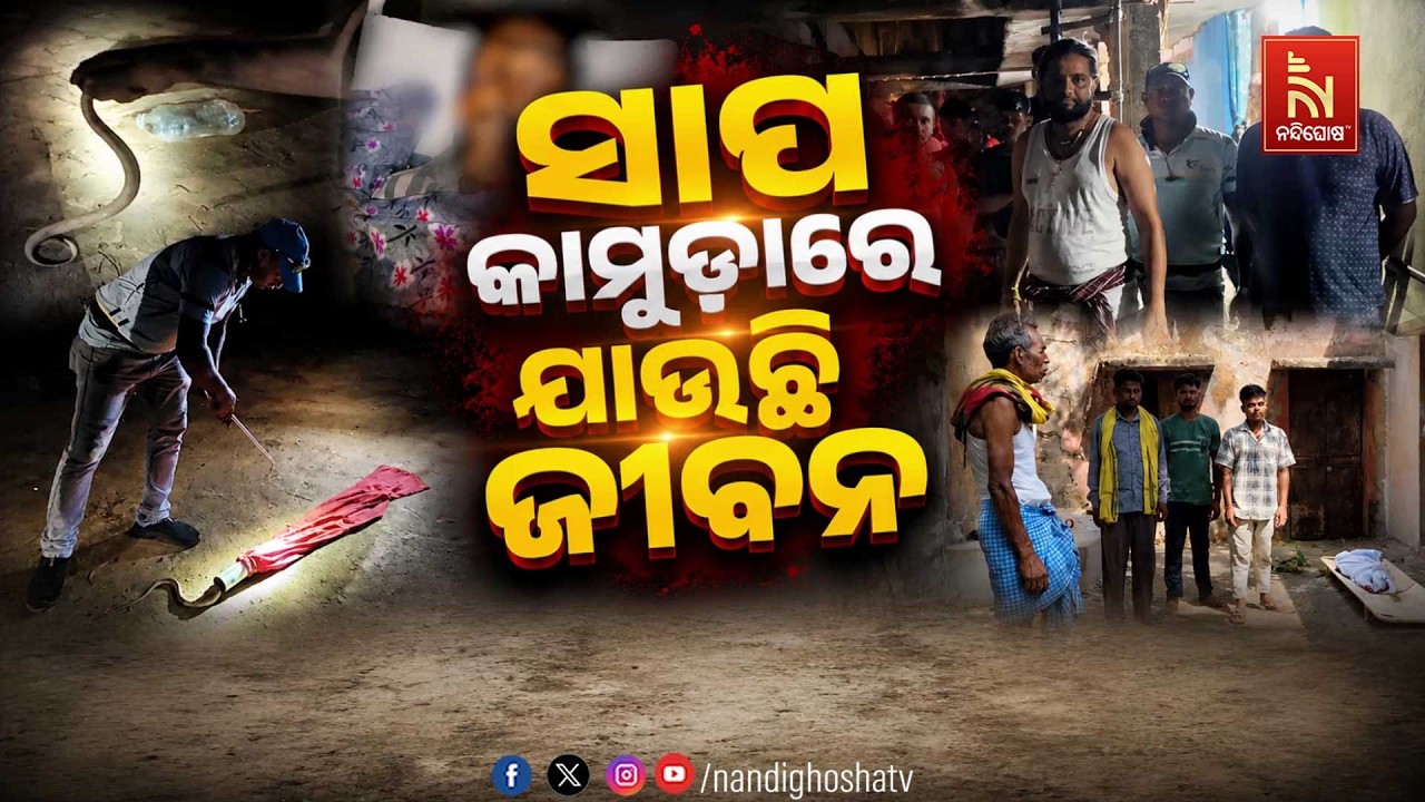 🔴Live | ସାପ କାମୁଡ଼ାରେ ଯାଉଛି ଜୀବନ