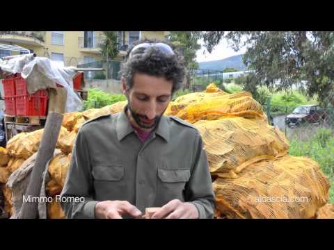 Pipe Mimmo Romeo - alpascia.com