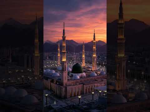 Peace was found #shorts