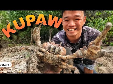 P1 - Kupaw at Giant Alimango - EP1667
