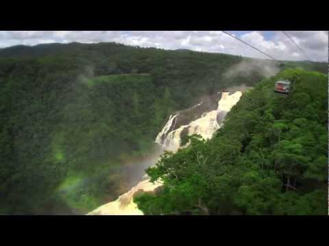 Skyrail Rainforest Cableway