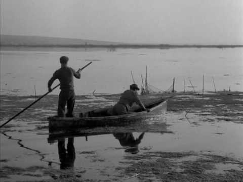 L'antimiracolo di Elio Piccon - Clip