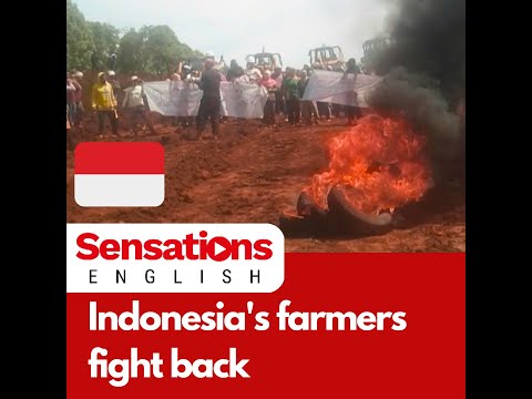 Nickel mining problem for Indonesian villages