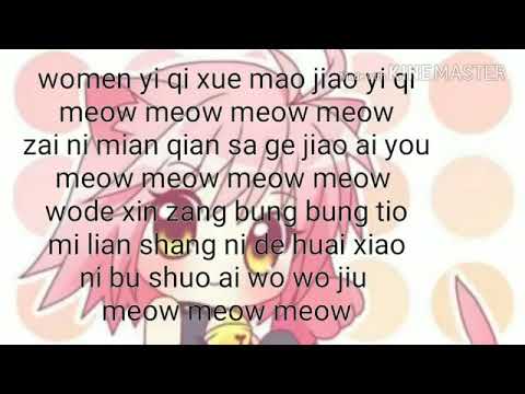 Learn  to meow meow lyrics 💓