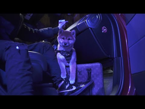 PCL x Bachiflow - DO IT AGAIN ft. Lorenzo Corleone