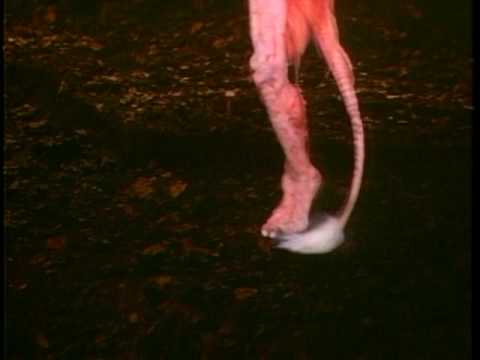 Inside the Labyrinth: Fireys - The Jim Henson Company