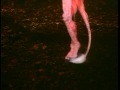 Inside The Labyrinth Fireys The Jim Henson Company