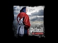 Pitbull Bojangles Remix