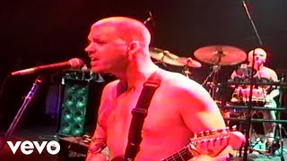 Sublime - We&#39;re Only Gonna Die For Our Arrogance (Live At The Palace/1995)