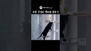 유튜브 썸네일