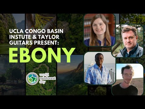 Ebony | World Rainforest Day Summit 2022 | UCLA Congo Basin Institute & Taylor Guitars